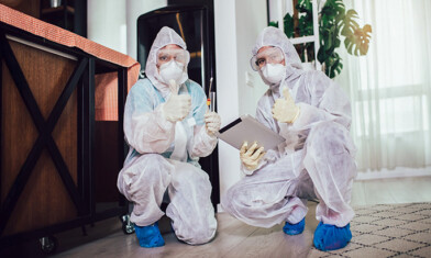 Top-Rated Pest Control Products Recommended for Saudi Homes