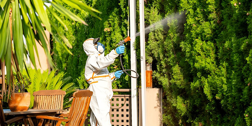 Can Pest Control Get Rid of Rodents?