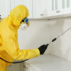Certified Pest Control in Dammam by Al Bustan Pest Control Company