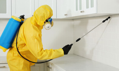 Certified Pest Control in Dammam by Al Bustan Pest Control Company