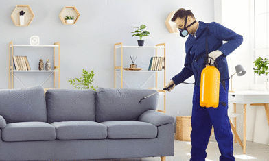 How Do I Know a Pest Control Company Is Legit?