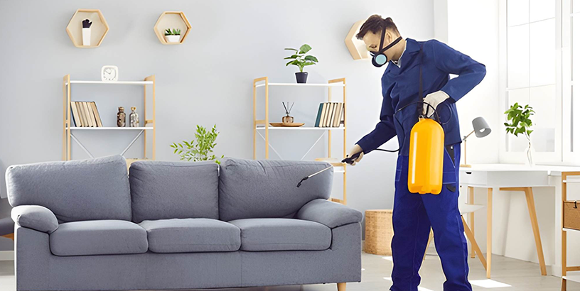 How Do I Know a Pest Control Company Is Legit?