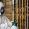 Professional Pest Control Services in Riyadh
