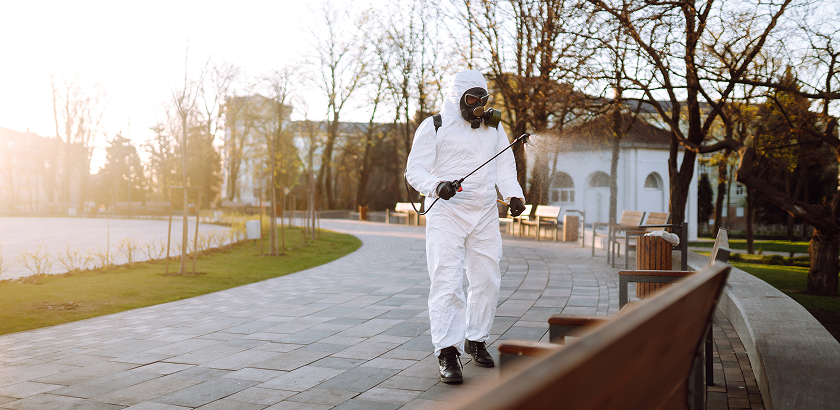 Professional Pest Control Services in Dammam