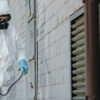 Professional Pest Control Services in Al Khobar