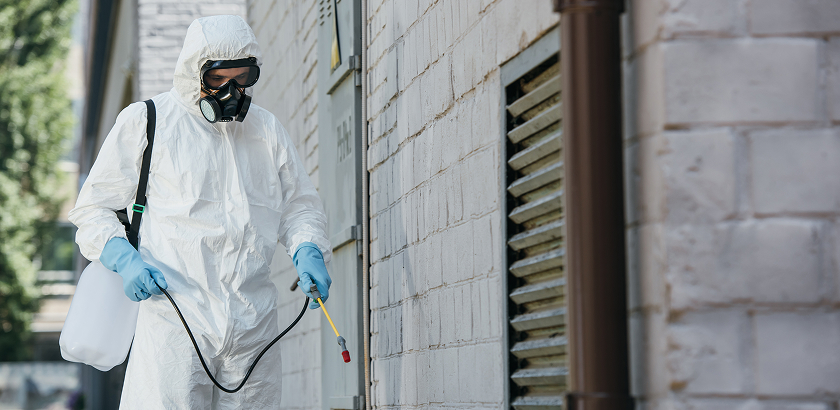 Professional Pest Control Services in Al Khobar