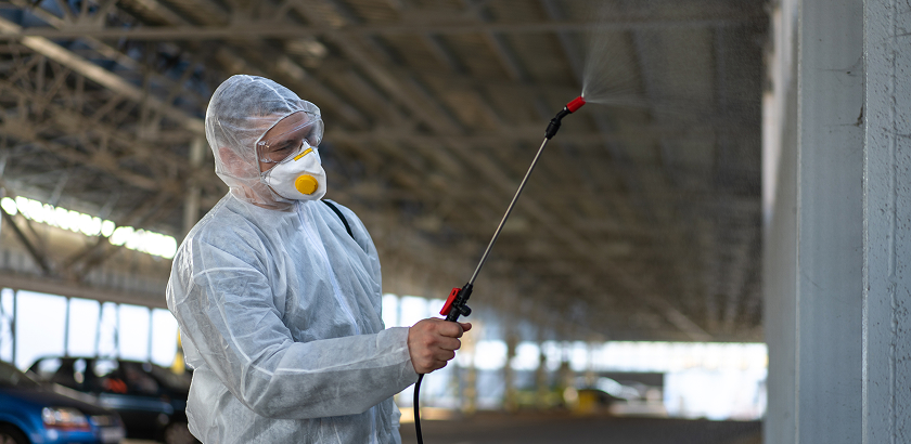 Professional Pest Control Services in Jubail