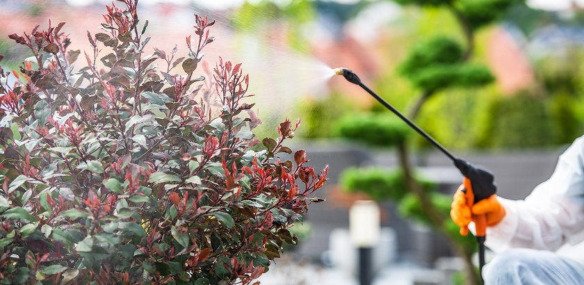 Professional Pest Control Services in Al Qatif