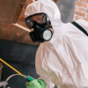 What Are the 4 Methods of Pest Control?