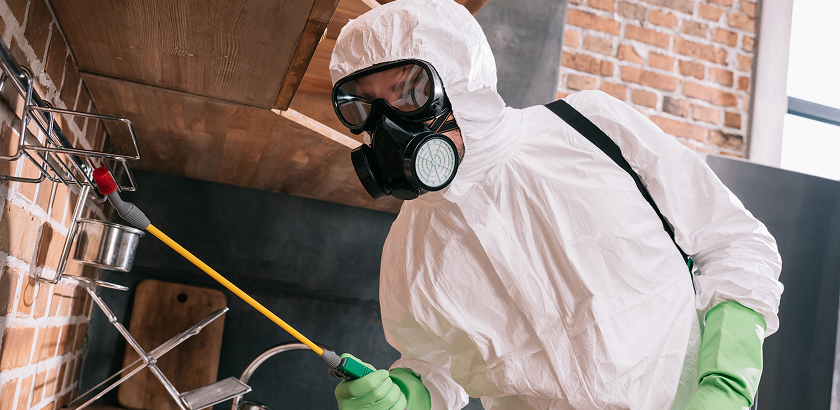 What Are the 4 Methods of Pest Control?