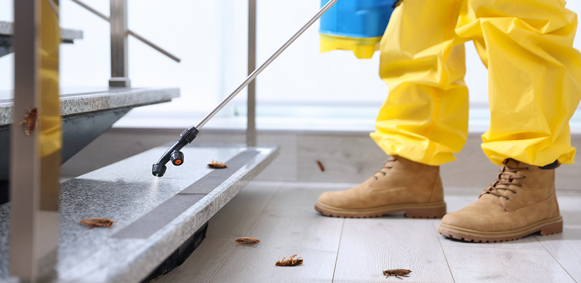 Professional Pest Control Services in Al Ahsa