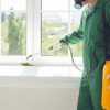How to Remove Lizards from Home: Tips, Home Remedies, and Professional Solutions