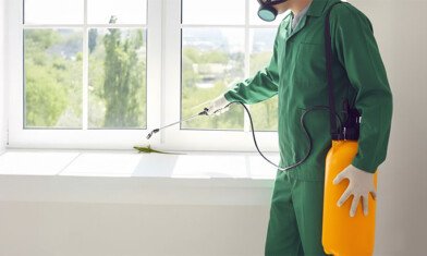 How to Remove Lizards from Home: Tips, Home Remedies, and Professional Solutions