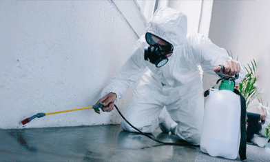 What Is Pest Control and What Are the Stages?