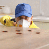 Termites, Rodents, Cockroaches & Bed Bugs: The Complete Pest Control Guide for Riyadh, Dammam & Saudi Arabia