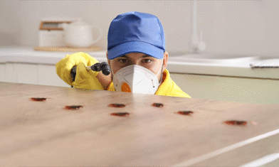 Termites, Rodents, Cockroaches & Bed Bugs: The Complete Pest Control Guide for Riyadh, Dammam & Saudi Arabia