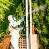 Can Pest Control Get Rid of Rodents?