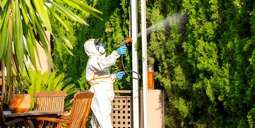 Can Pest Control Get Rid of Rodents?