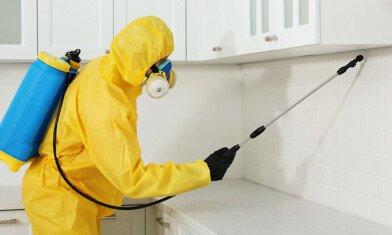 Certified Pest Control in Dammam by Al Bustan Pest Control Company