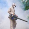 Comprehensive Pest Control Services in Jeddah: Prevention and Removal for Every Common Household Pest