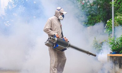 Comprehensive Pest Control Services in Jeddah: Prevention and Removal for Every Common Household Pest