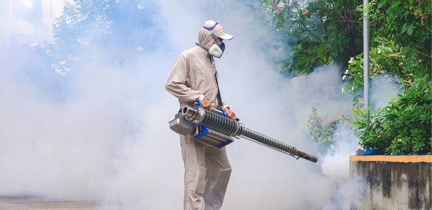 Comprehensive Pest Control Services in Jeddah: Prevention and Removal for Every Common Household Pest