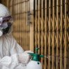 Professional Pest Control Services in Riyadh