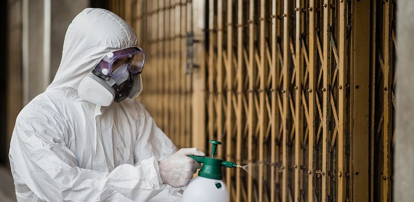 Professional Pest Control Services in Riyadh