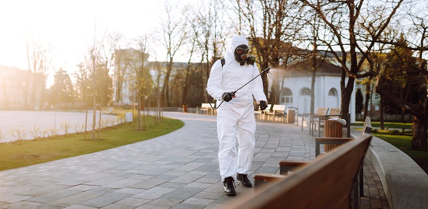 Professional Pest Control Services in Dammam