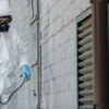 Professional Pest Control Services in Al Khobar