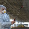 What Does Pest Control Mean? A Complete Guide for Homes and Businesses in Jeddah