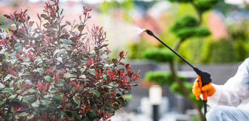 Professional Pest Control Services in Al Qatif