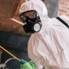What Are the 4 Methods of Pest Control?