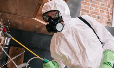 What Are the 4 Methods of Pest Control?