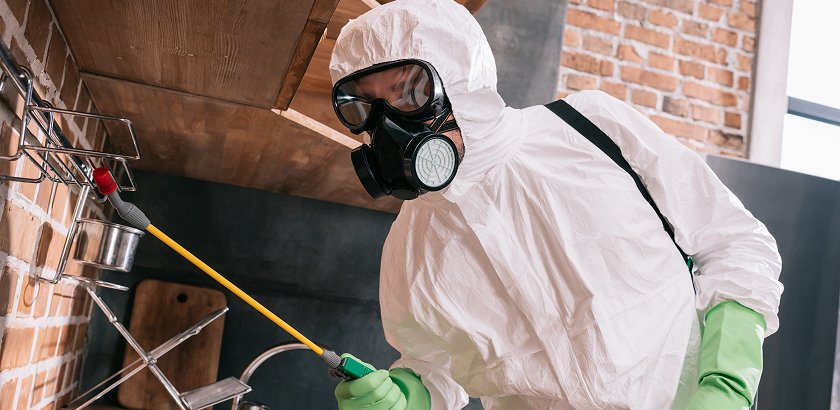 What Are the 4 Methods of Pest Control?