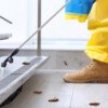Beyond Termites: Why Mosquito Control, Fogging, and Animal Removal Deserve a Place in Every Saudi Property’s Pest Plan