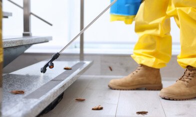 Beyond Termites: Why Mosquito Control, Fogging, and Animal Removal Deserve a Place in Every Saudi Property’s Pest Plan
