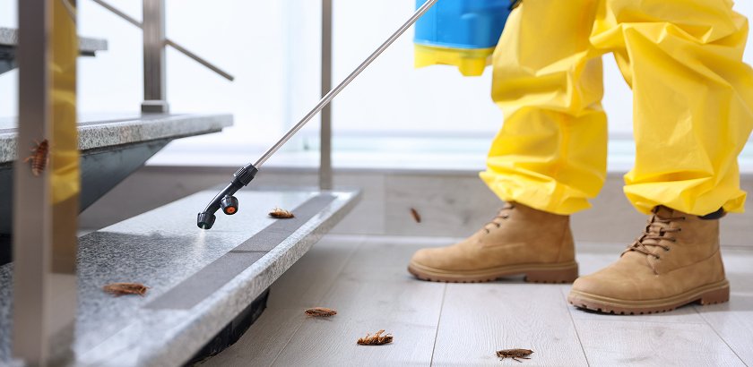 Professional Pest Control Services in Al Ahsa